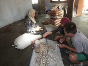 jual slondok jakarta, jual slondok mentah, jual slondok magelang, distributor slondok magelang, jual slondok semarang, jual slondok solo,