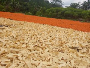 produsen slondok, produsen slondok magelang, produsen slondok mentah, produsen kerupuk slondok, pabrik slondok bandung, pabrik slondok di bandung, pabrik slondok di magelang, pabrik krupuk slondok, pabrik slondok magelang,