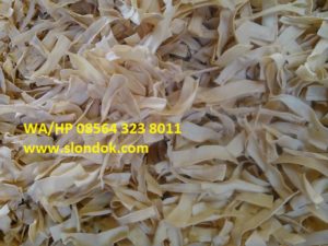 agen slondok putih, agen slondok tawar, distributor slondok putih, distributor slondok tawat, grosir slondok putih, grosir slondok tawar, jual slondok putih, jual slondok tawar murah, slondok putih bandung, slondok tawar bandungWA HP 08564 323 8011