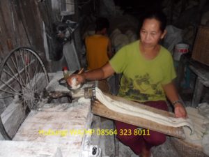 agen slondok putih, agen slondok tawar, distributor slondok putih, distributor slondok tawat, grosir slondok putih, grosir slondok tawar, jual slondok putih, jual slondok tawar murah, slondok putih bandung, slondok tawar bandung Silahkan Hubungi:WA/HP 08564 323 80 11