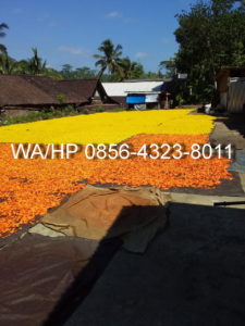 jual slondok puyur cap udang