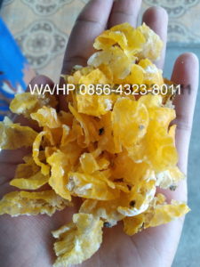 jual emping jagung mentah WA HP 085643238011