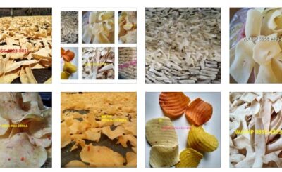 Indonesian Snack Food Manufacturer