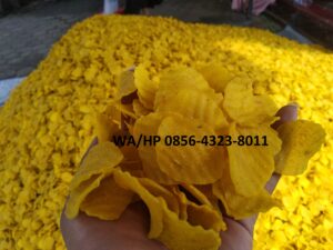 Jual Puyur Koin Mentah 1 Ball 5 kg WA 0856-4323-8011 Distributor Puyur KoinPuyur Koin Gurih Pedas Manis Magelang produsen puyur poco poco koin