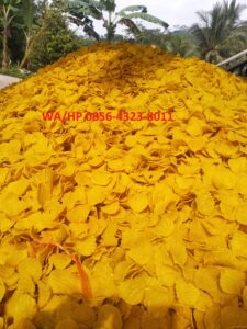 Pusatnya Agen, Grosir, Distributor, dan Reseller Puyur Koin Grosir Puyur Koin Singkong Jual Puyur Koin Kuning Produsen Puyur Koin Langsung dari Pabrik Tempat Kulakan Puyur Poco-Poco Koin, Ide Jualan Puyur Poco Poco koin